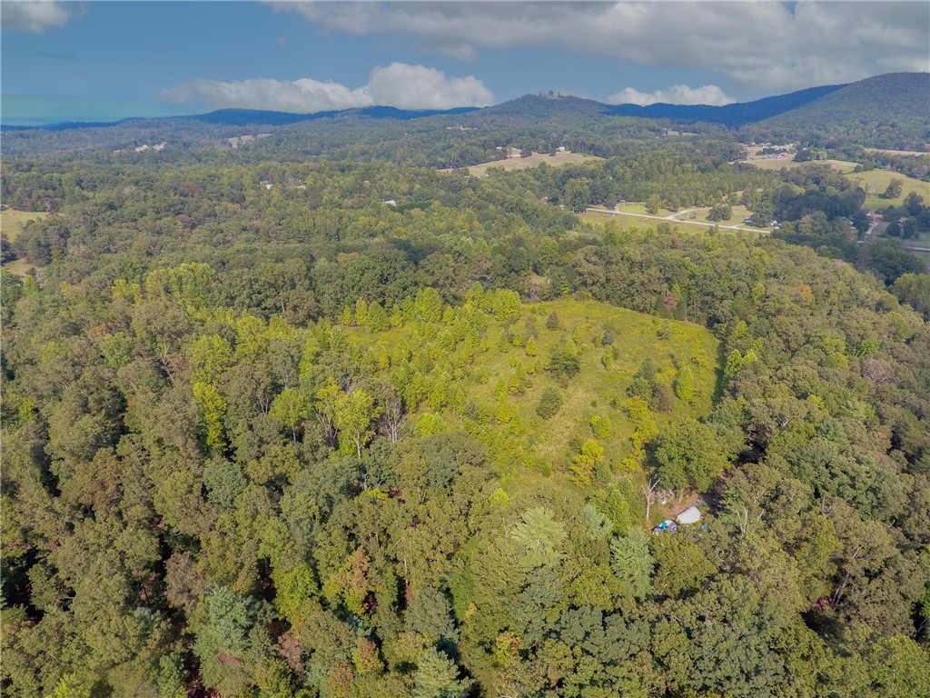 0 Jones Circle Pickens, SC 29671 - Photo 17 of 18