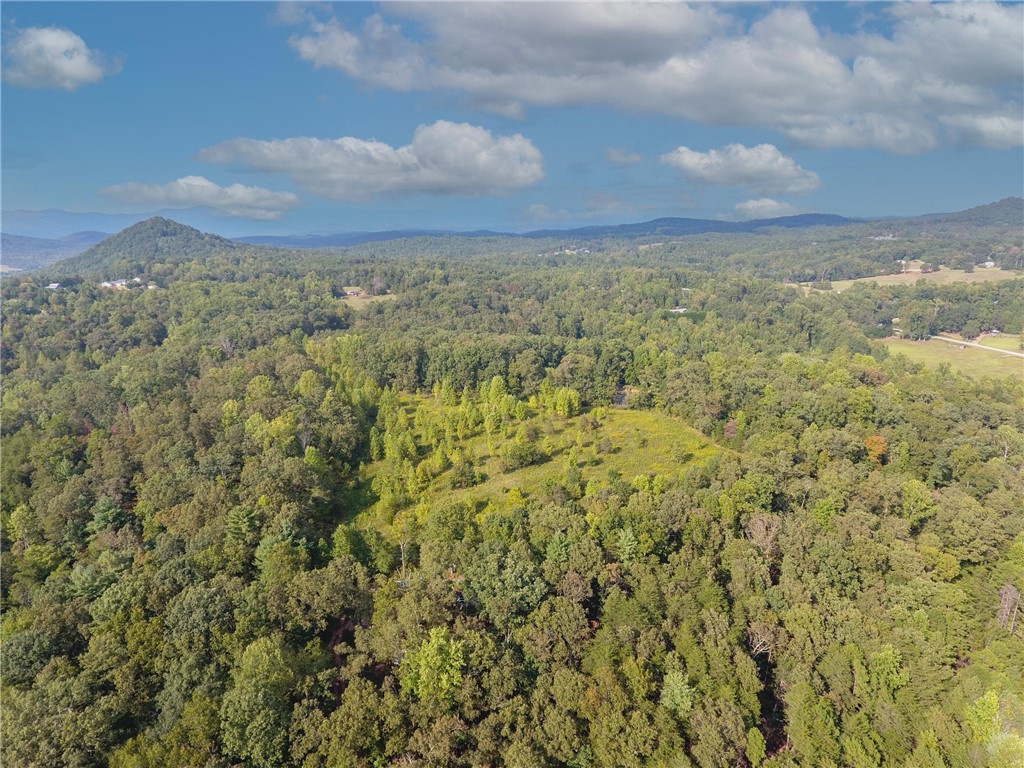 0 Jones Circle Pickens, SC 29671 - Photo 4 of 18