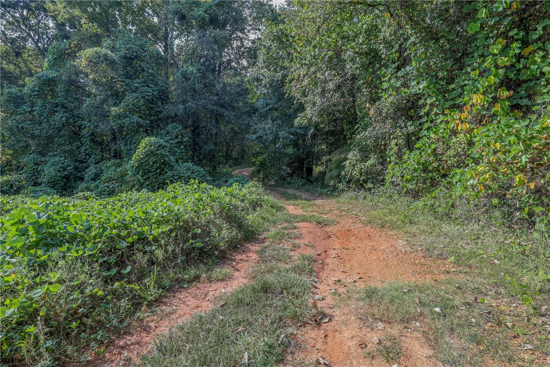 0 Jones Circle Pickens, SC 29671 - Photo 7 of 18