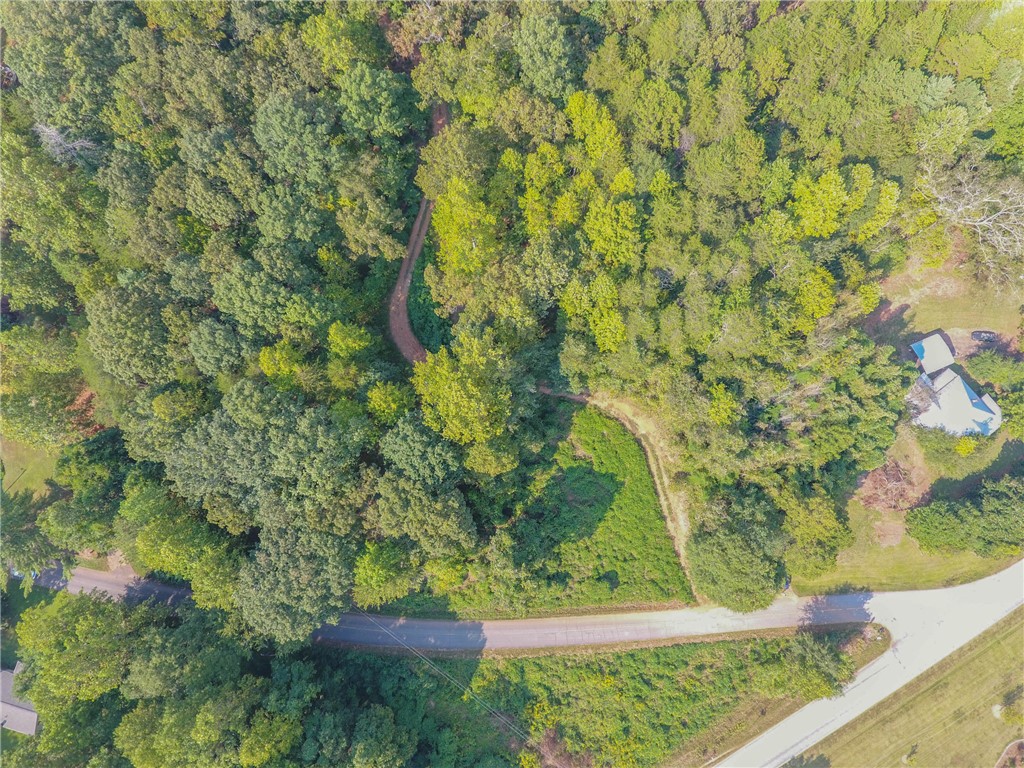 0 Jones Circle Pickens, SC 29671 - Photo 9 of 18