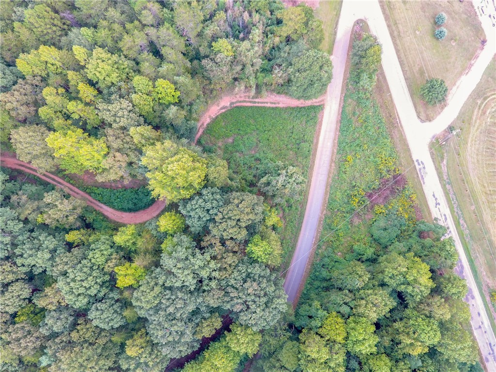 0 Jones Circle Pickens, SC 29671 - Photo 10 of 18