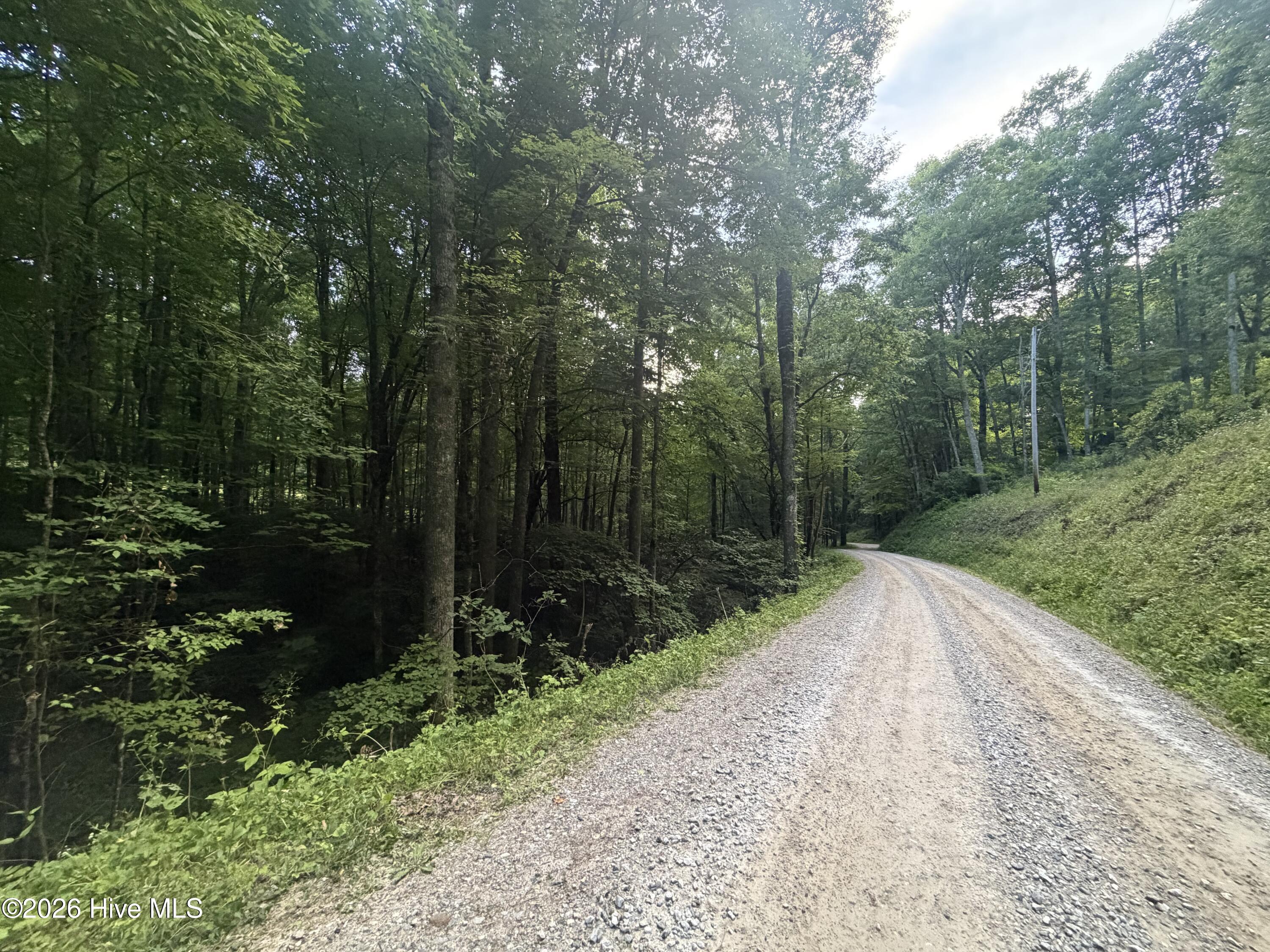 0 Otter Creek Road Topton, NC 28781 - Photo 11 of 20