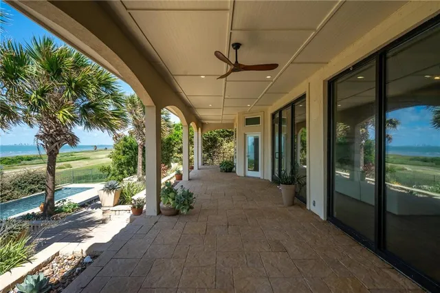 a view of a yard with palm trees