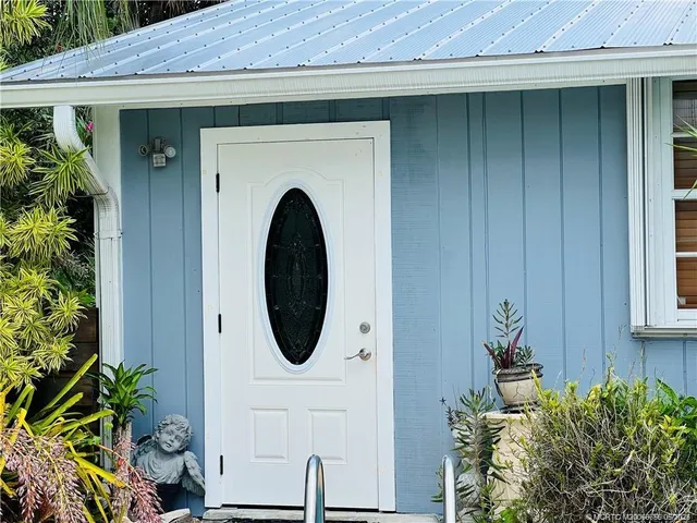 a close view of a sink a mirror and a potted plant