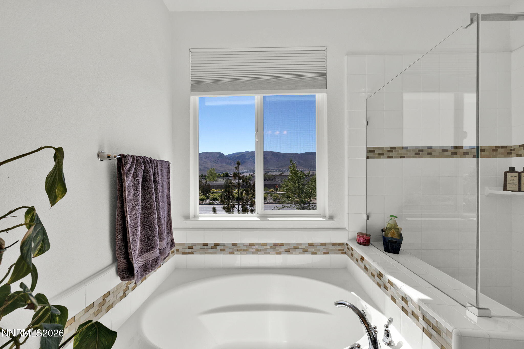2220 Hope Valley Drive Reno, NV 89521 - Photo 46 of 61 32-web-or-mls-IMG_0069