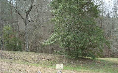 19 Mineral Springs Ridge Blue Ridge, GA 30513 - Photo 1 of 1 Main View