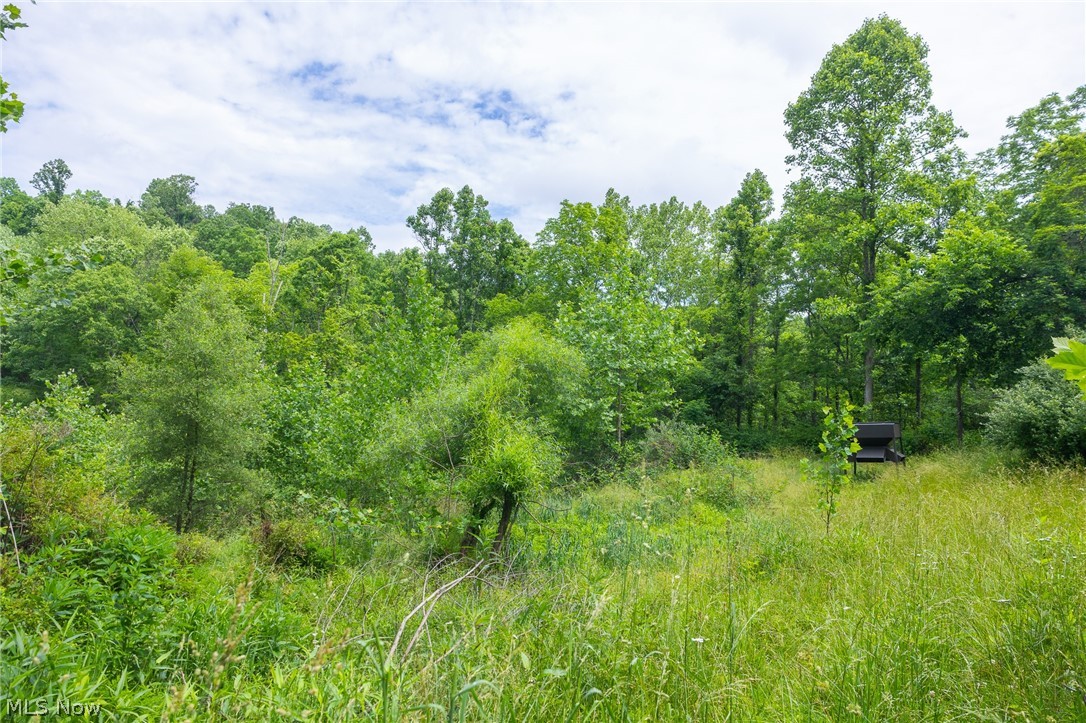 Kinnen Road Caldwell, OH 43724 - Photo 6 of 37