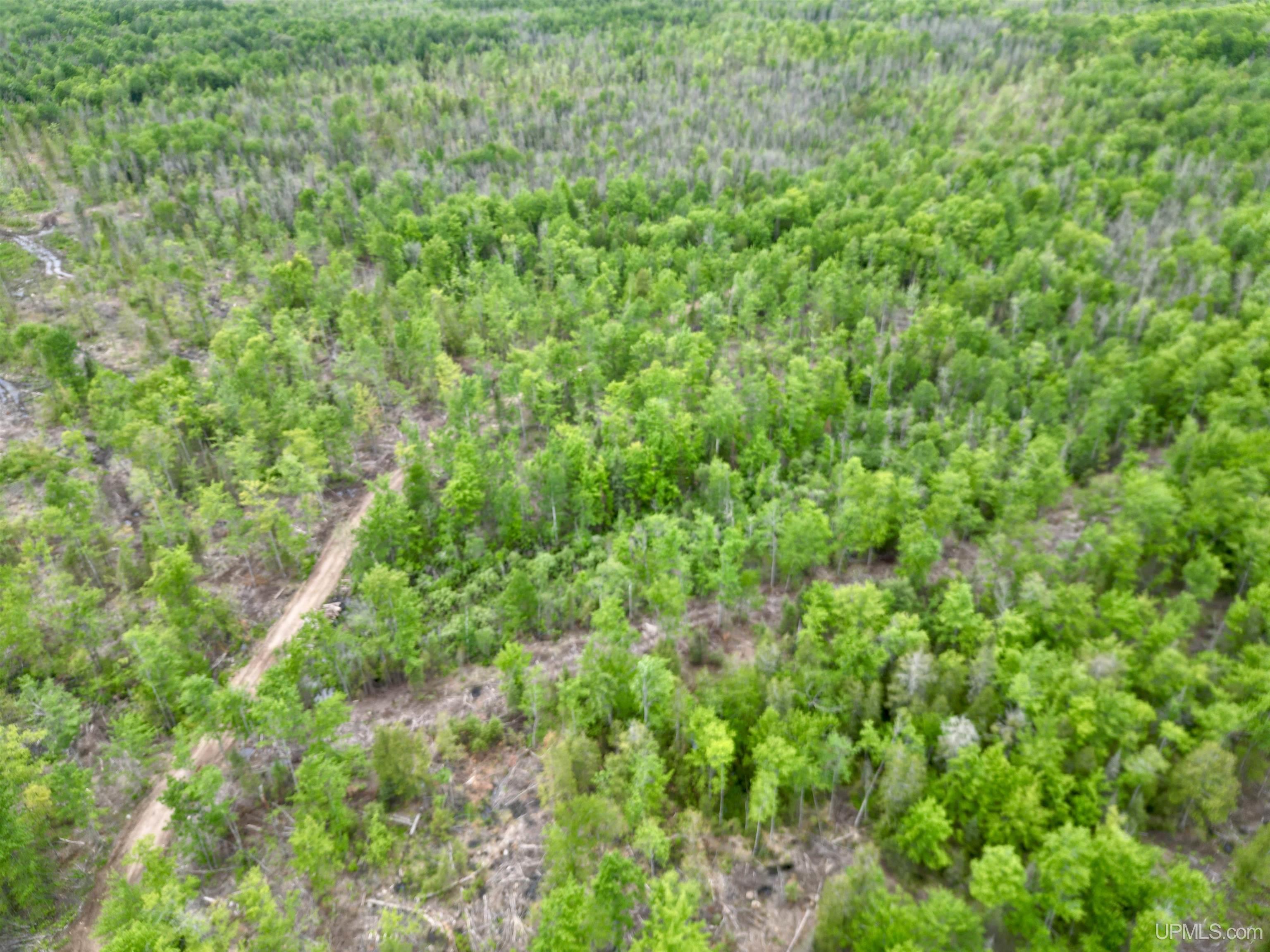 3601 Cr444 Road Rock, MI 49880 - Photo 6 of 78