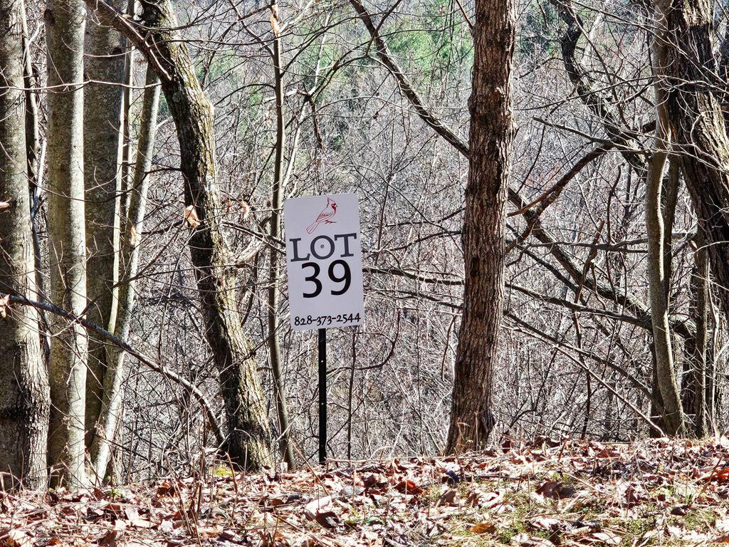 Lot 39 Merlin Trail Murphy, NC 28906 - Photo 21 of 21