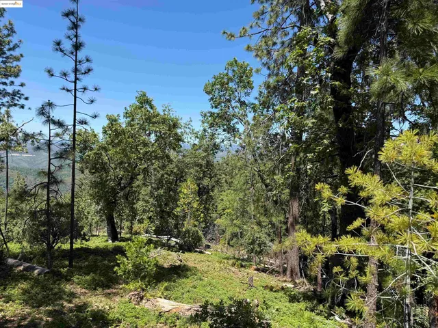 $259,900 | 0 Forest Service Road, Sonora, CA 95370