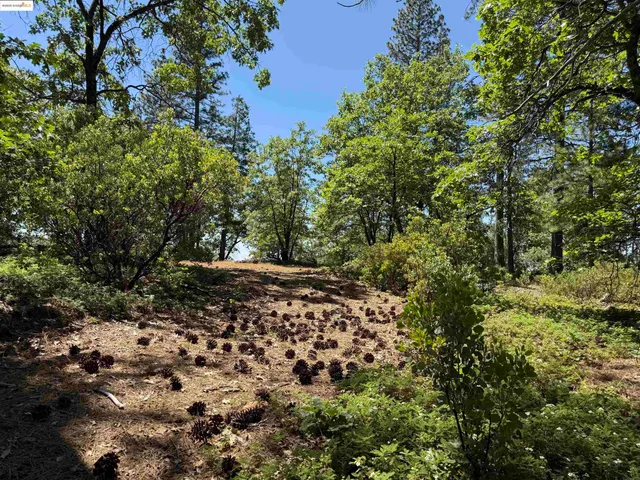 a view of outdoor space and yard