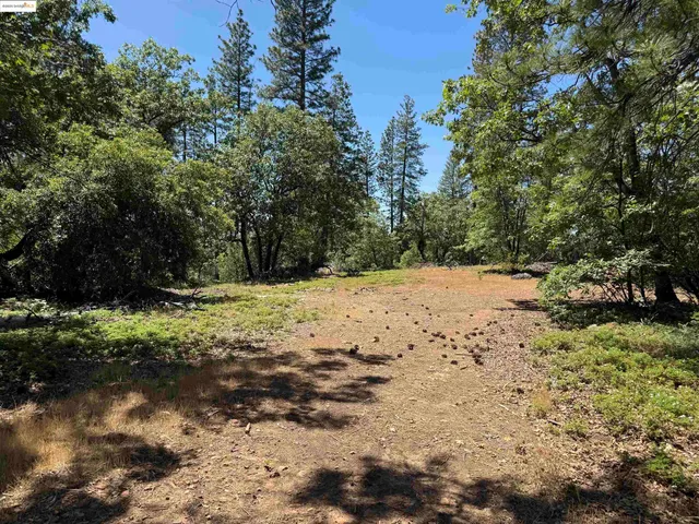 a view of a yard covered in snow