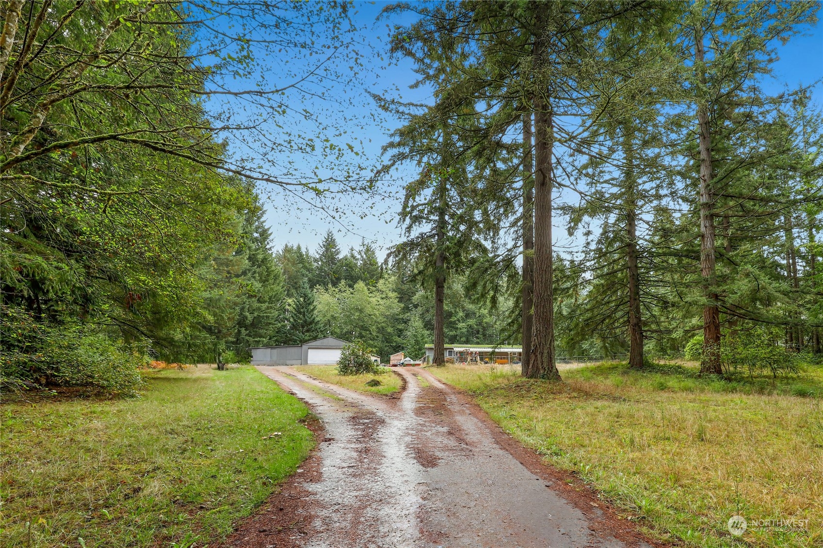 10909 Sidney Road Southwest Port Orchard, WA 98367 - Photo 1 of 34 a view of a park with large trees