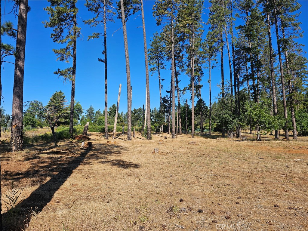 6849 Clark Road Paradise, CA 95969 - Photo 2 of 5
