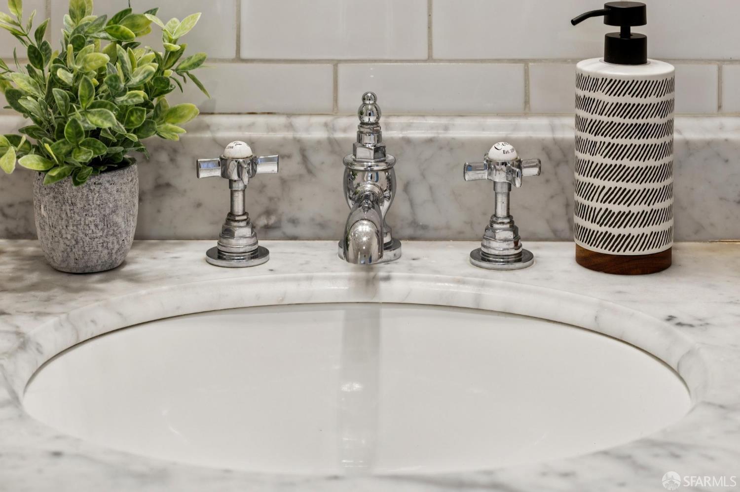 440 Laurel Street San Francisco, CA 94118 - Photo 21 of 24 a closeup of a sink with a potted plant