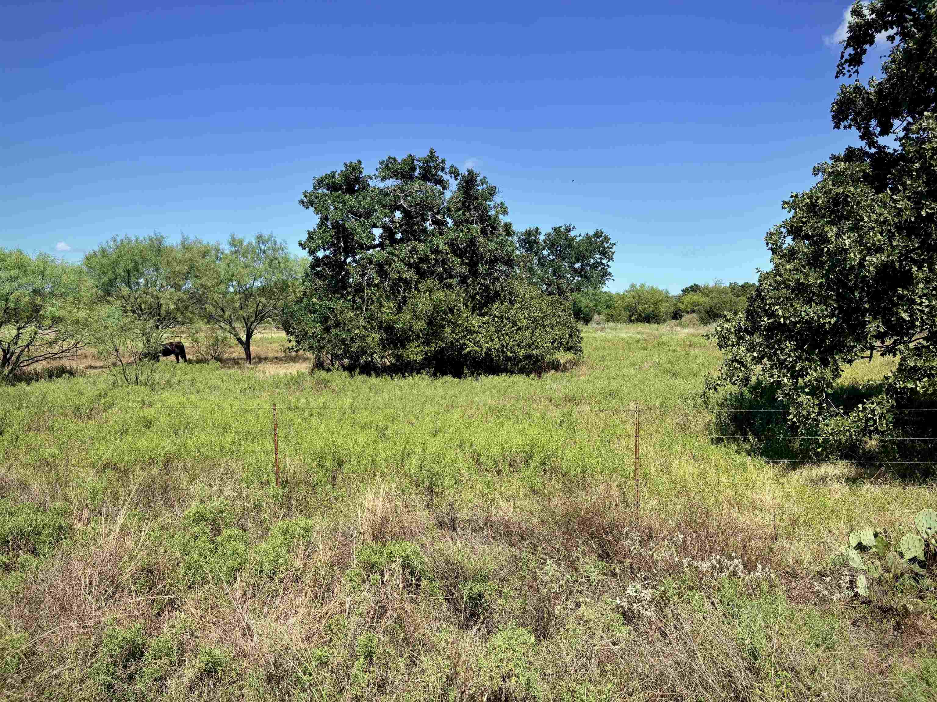 Buffalo Spring Cir Valley Spring Valley Spring, TX 76885 - Photo 11 of 13 Gallery Image 11