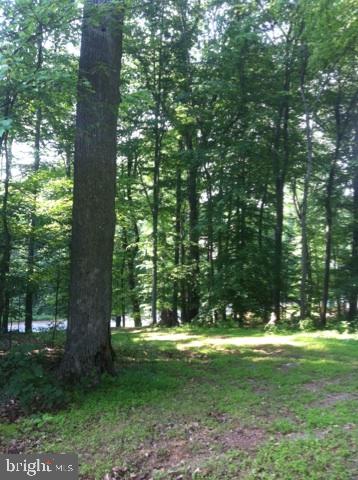 34 Buck Run Road Conestoga, PA 17516 - Photo 4 of 5