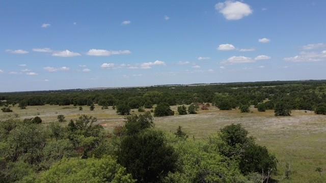 0 Ambruss Jones Road Bellevue, TX 76228 - Photo 9 of 12