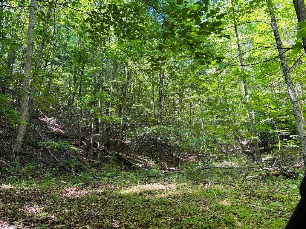 Tbd Pleasantview Road, Unit 72 Austinville, VA 24312 - Photo 59 of 63 Gallery Image 59
