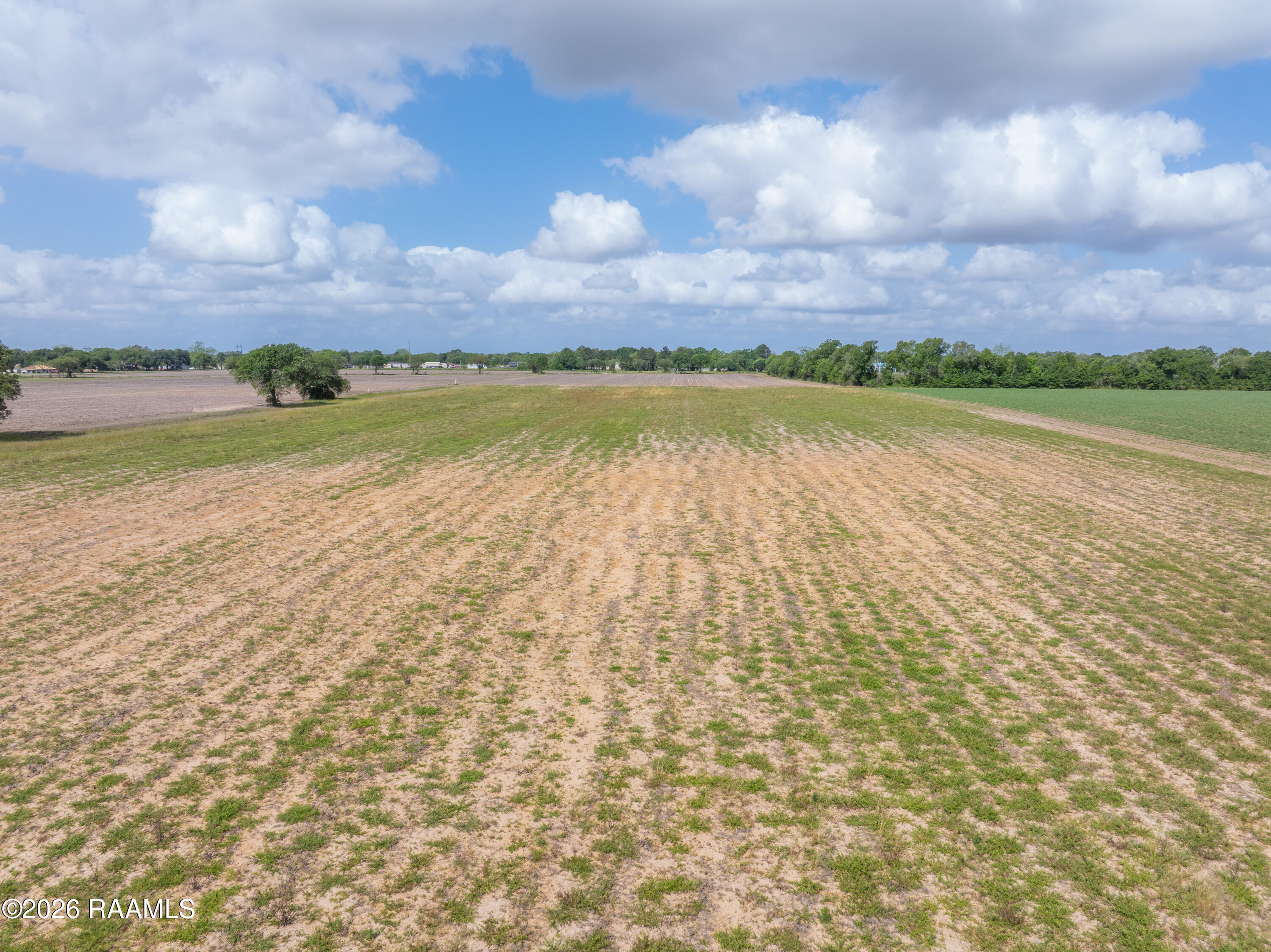 0 Beau Maurice, LA 70555 - Photo 4 of 13 BeauRd-7