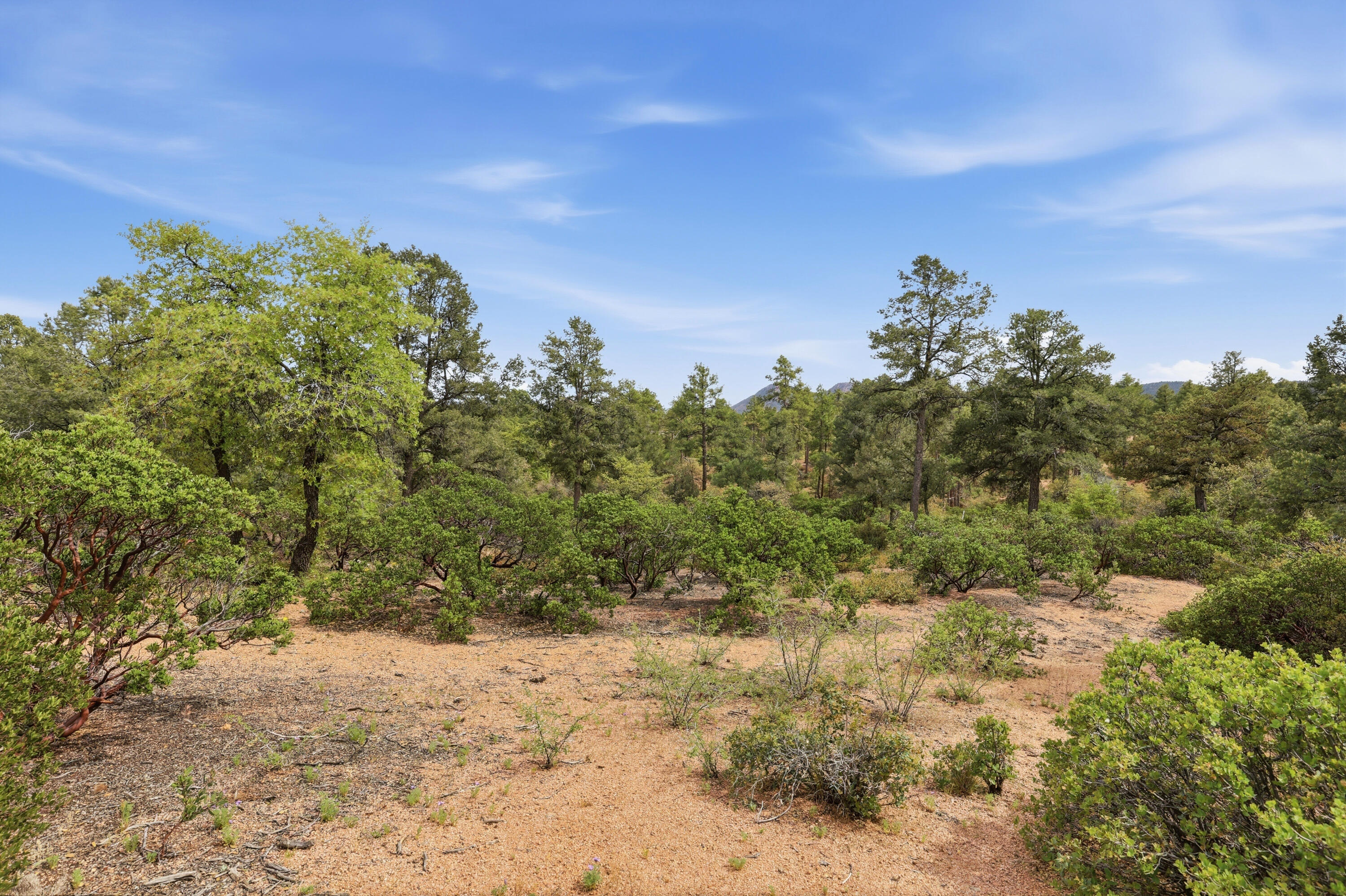 210 South Rim Club Drive Payson, AZ 85541 - Photo 12 of 19 a view of a large yard with lots of green space