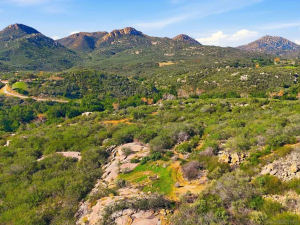 a view of a lush green hillside and a houses