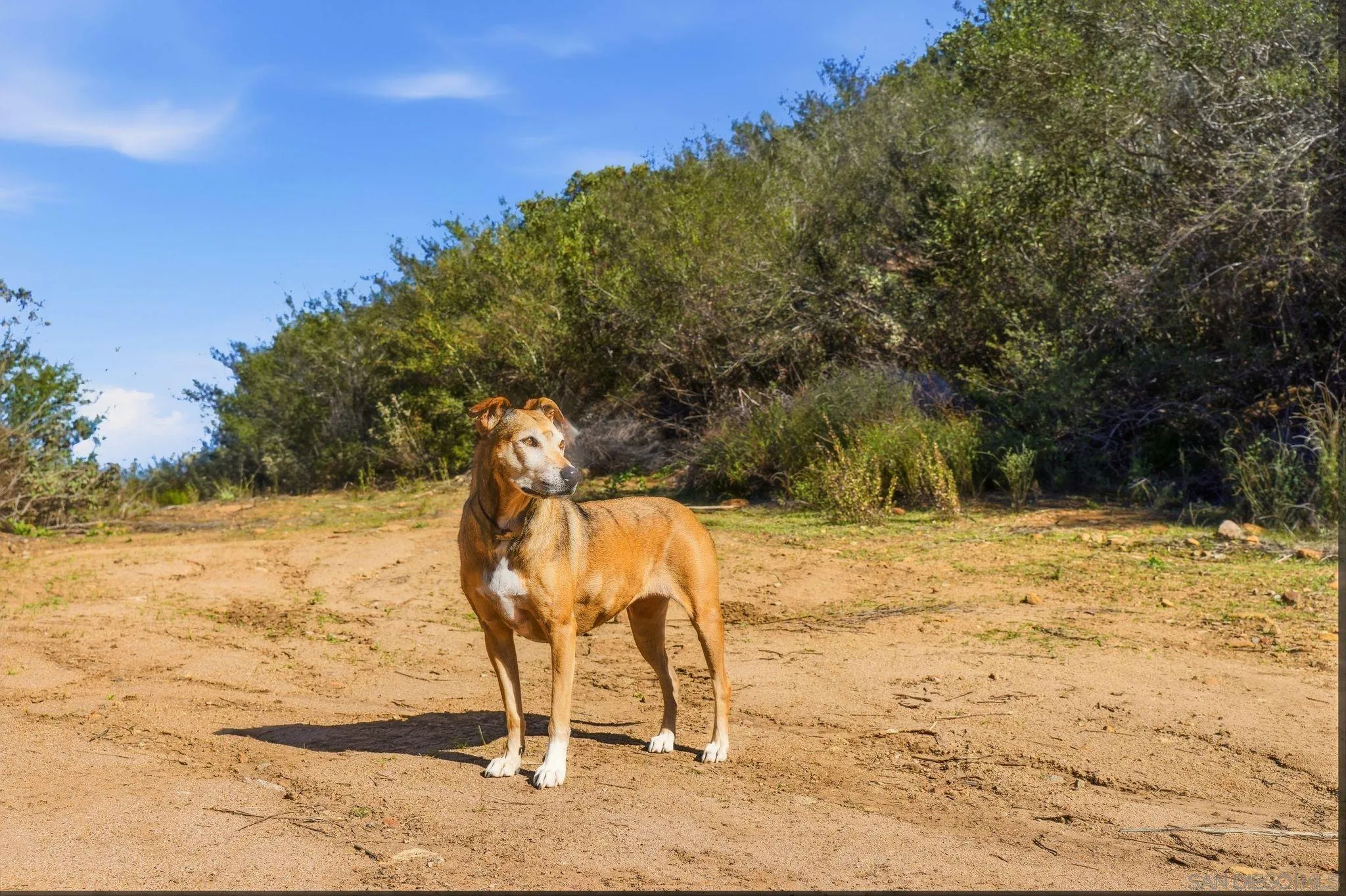0 Mussey Grade Road, Unit B Ramona, CA 92065 - Photo 34 of 40