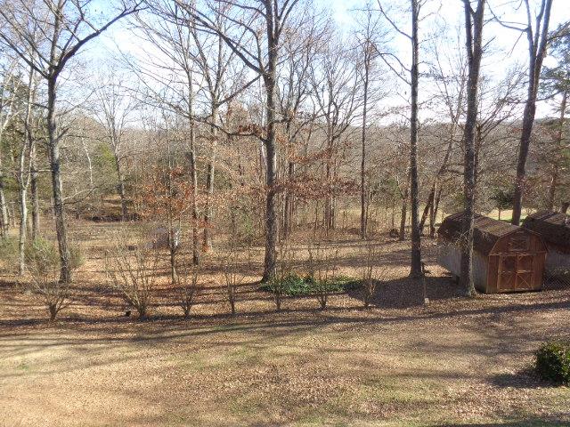 2434 Toler Road Woodlawn, TN 37191 - Photo 19 of 20 Wide open space..... ready for you to customize and make it your HOME.