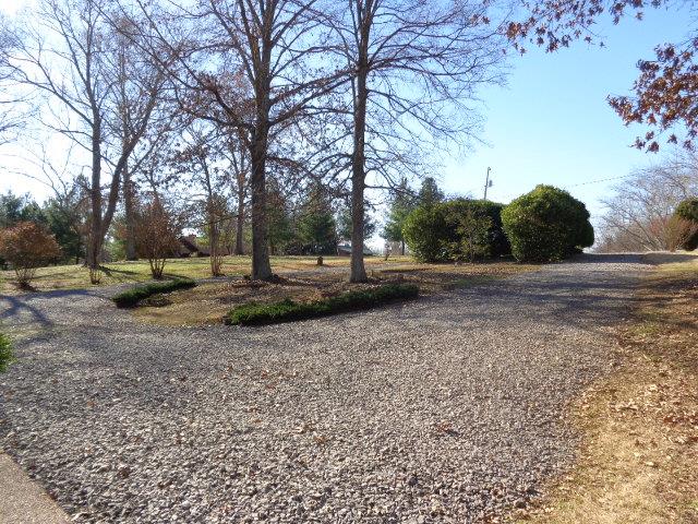 2434 Toler Road Woodlawn, TN 37191 - Photo 7 of 20 Circle drive with large evergreen trees at the road adding privacy. Drive also goes to basement.