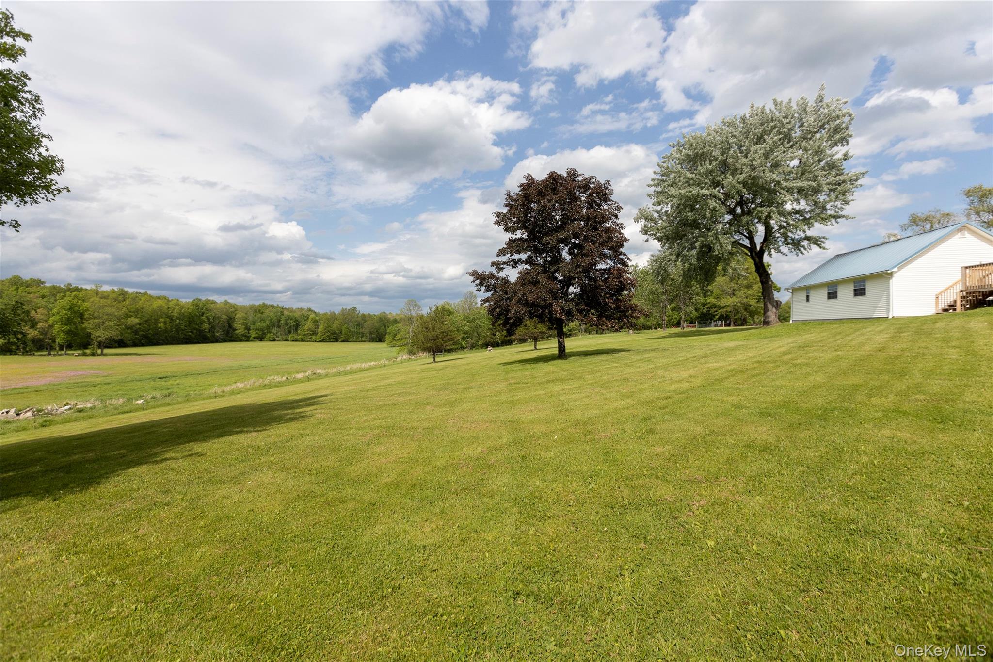 4 Low Road Wallkill, NY 12589 - Photo 41 of 50 view of acreage