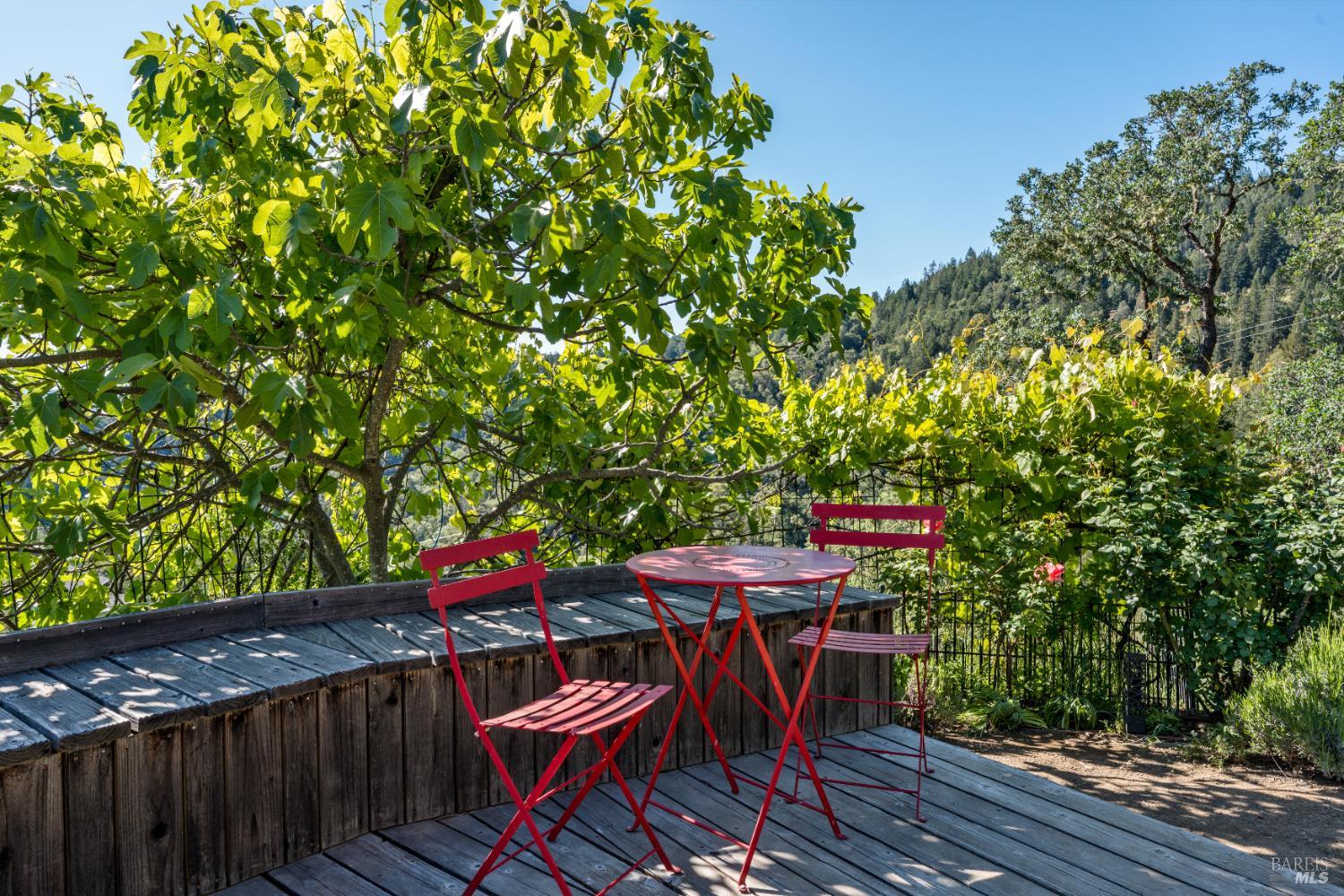 1455 Oak Knoll Road Ukiah, CA 95482 - Photo 33 of 54 Relax by the pond under the shade of the large fig tree.