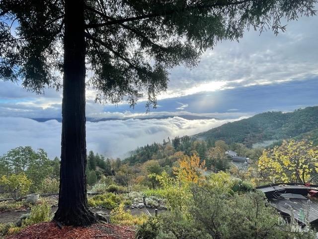 1455 Oak Knoll Road Ukiah, CA 95482 - Photo 42 of 54 You have amazing views no matter the season.