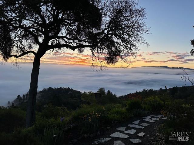 1455 Oak Knoll Road Ukiah, CA 95482 - Photo 43 of 54 Rise above the fog.