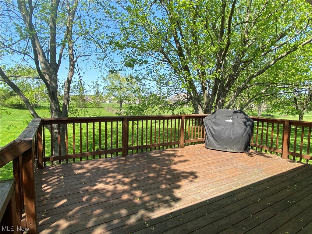 5233 Fenn Road Medina, OH 44256 - Photo 20 of 22 Gallery Image 20