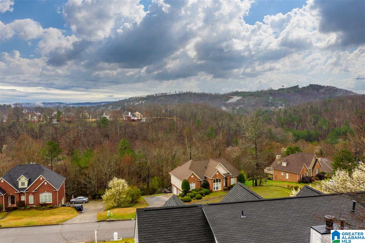 6370 Harness Way Pinson, AL 35126 - Photo 4 of 29