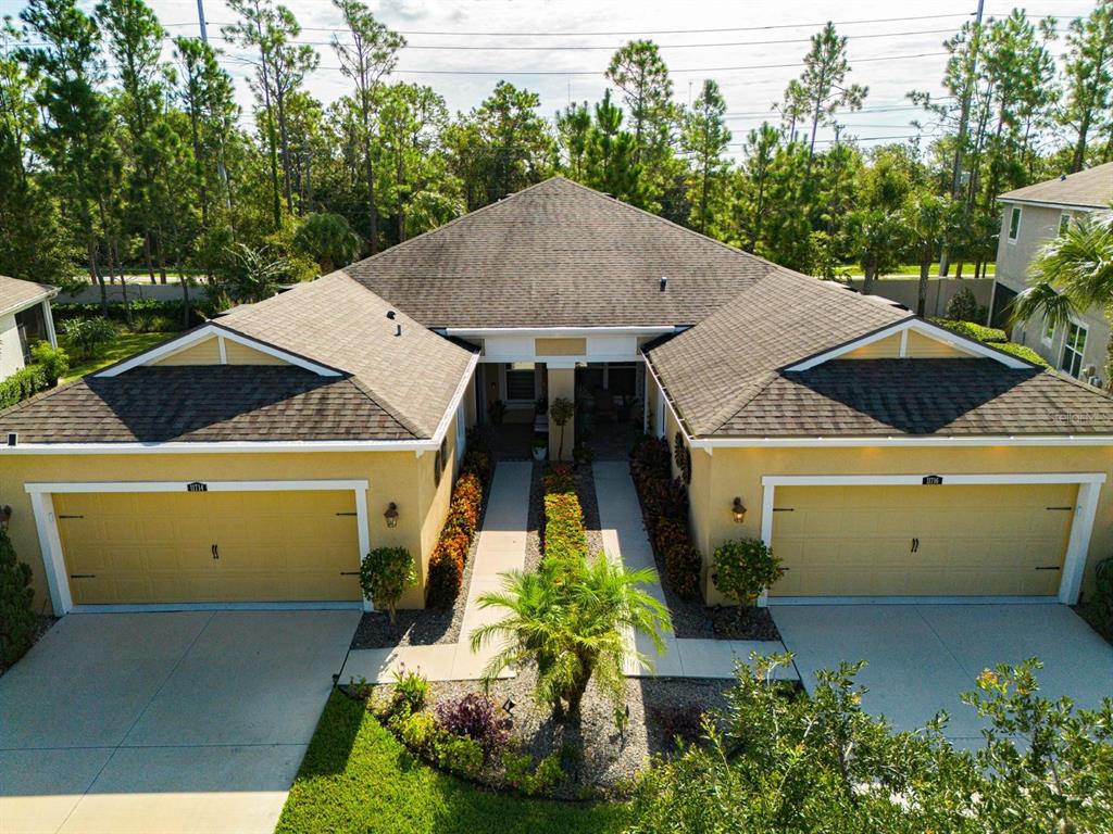 11716 Wrought Pine Loop Riverview, FL 33569 - Photo 43 of 53