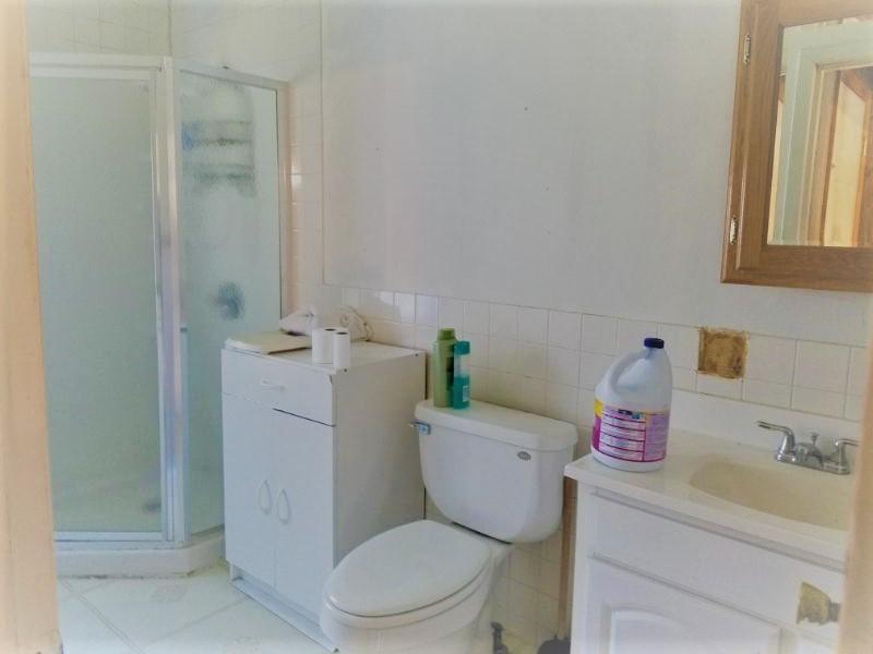 817 Sharps Chapel Road Sharps Chapel, TN 37866 - Photo 12 of 12 Bath with Walk in Shower