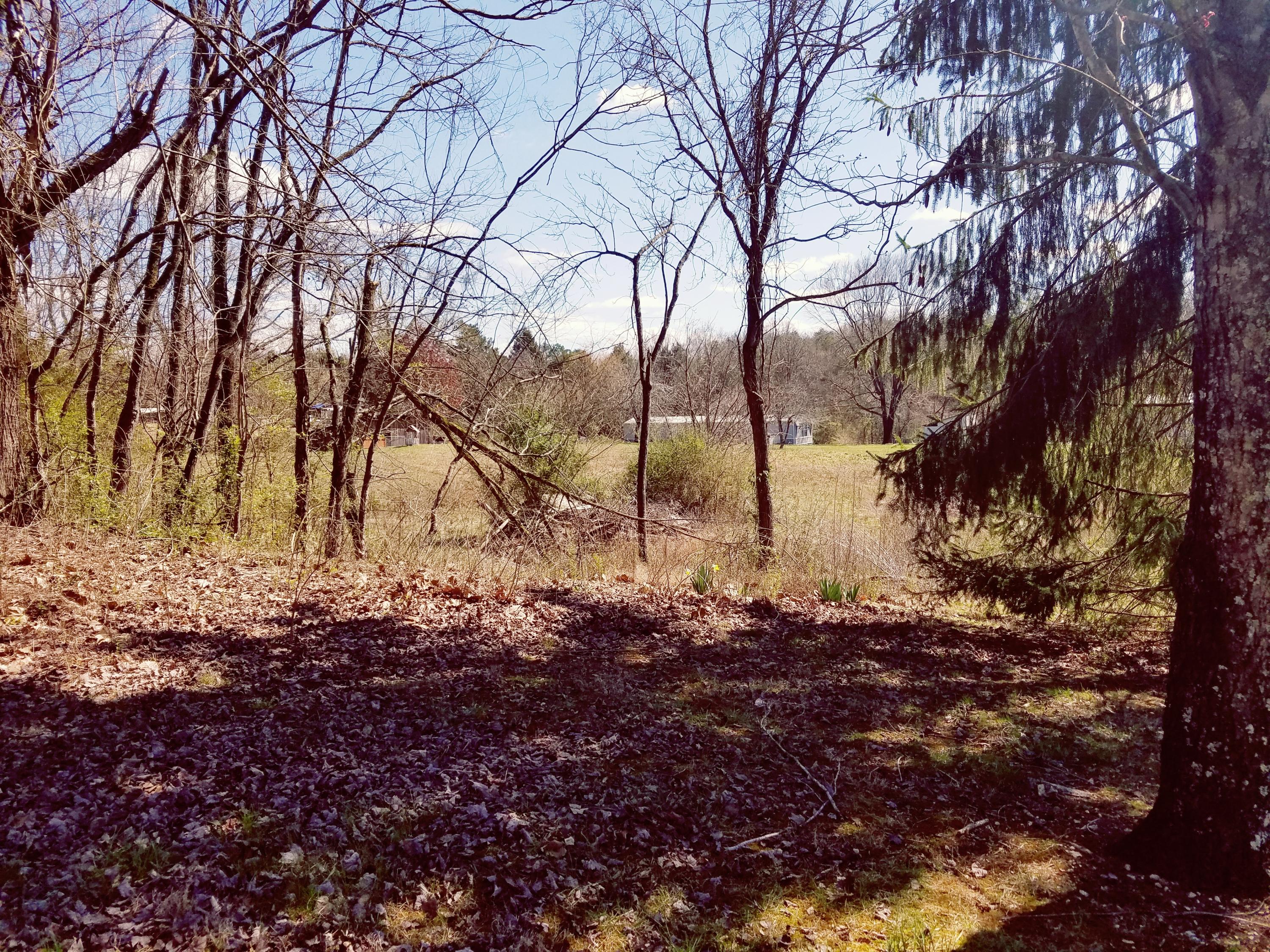 817 Sharps Chapel Road Sharps Chapel, TN 37866 - Photo 6 of 12 Land