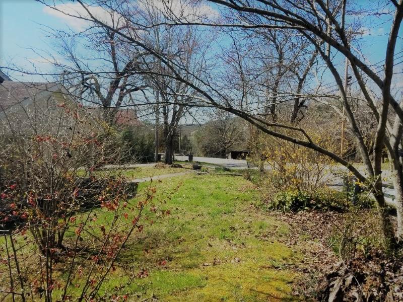 817 Sharps Chapel Road Sharps Chapel, TN 37866 - Photo 7 of 12 Land 2