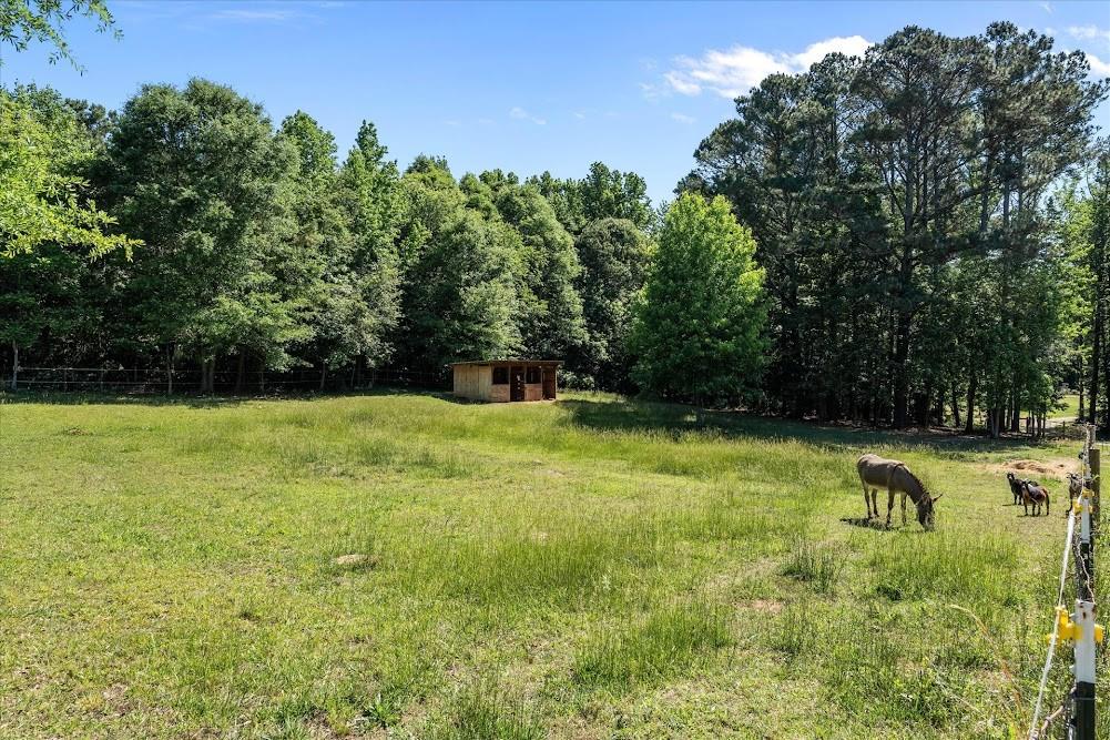 34 Harris Road Carrollton, GA 30116 - Photo 45 of 64