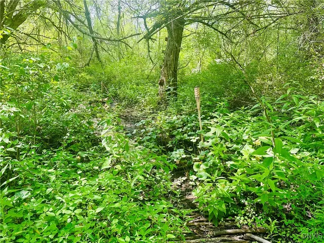 $375,000 | 20207 Reasoner Road, Brownville, NY 13601