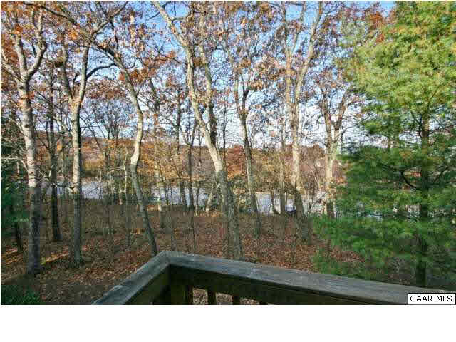 2012 Stone Rdg Wds Roseland, VA 22967 - Photo 17 of 19 a picture of city view