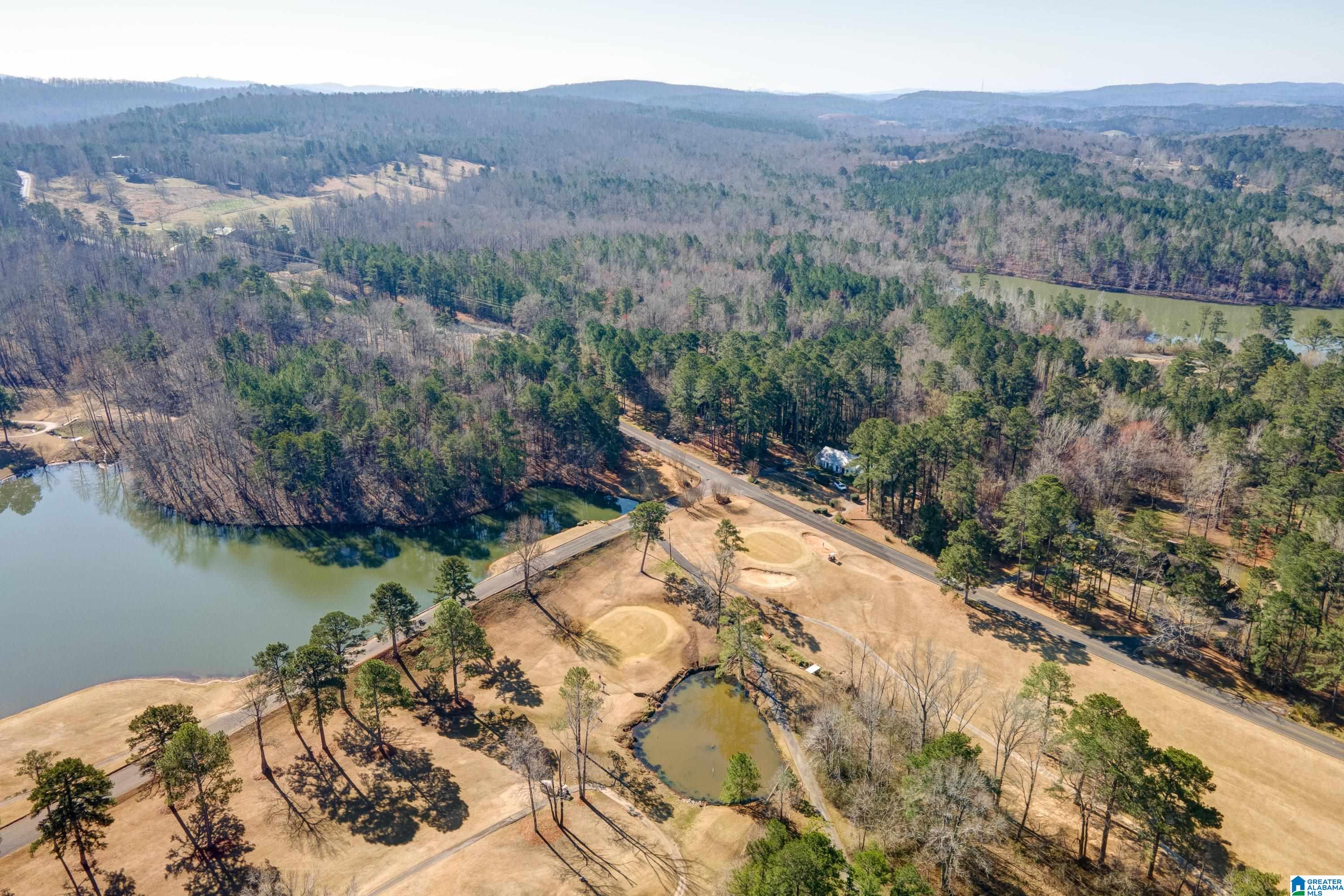 8970 Marsh Mountain Road Pinson, AL 35126 - Photo 45 of 48