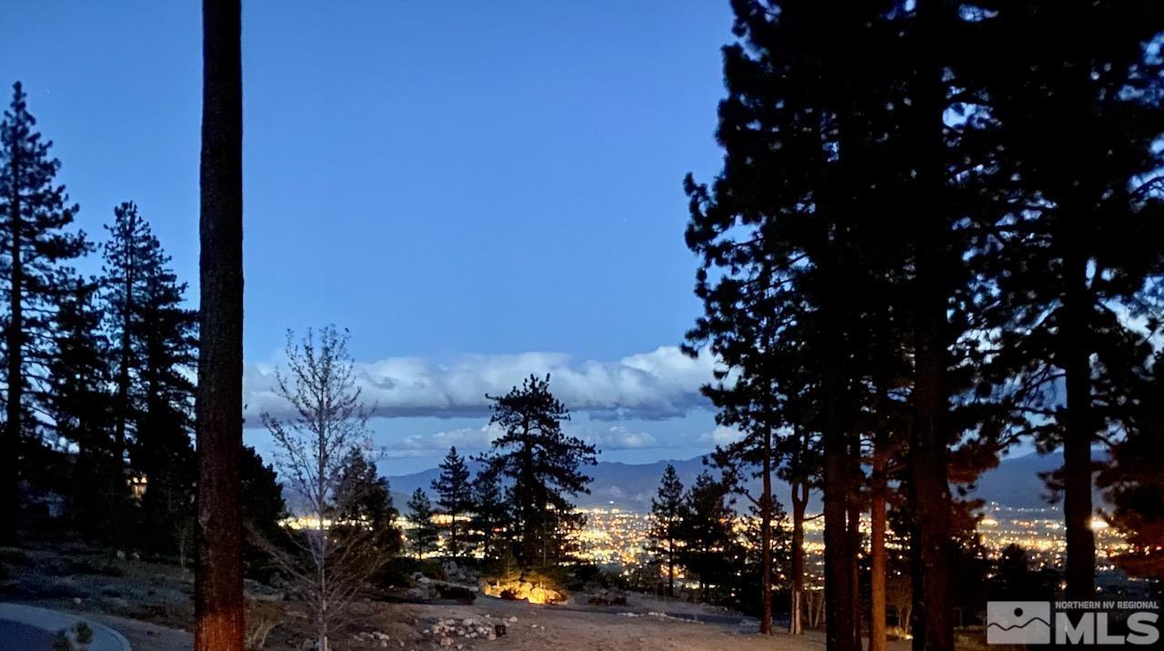 3807 Paradise View Carson City, NV 89703 - Photo 8 of 40 a view of a city with tall tree