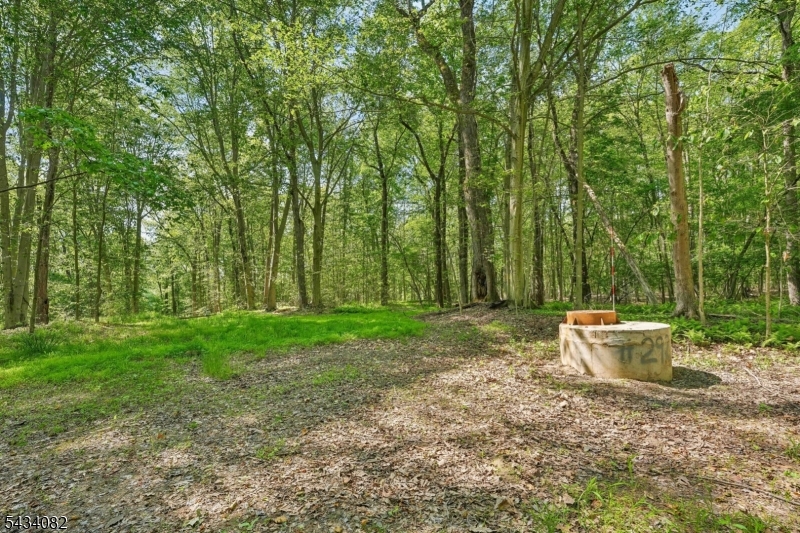 0 Homestead Road Gillette, NJ 07933 - Photo 3 of 26
