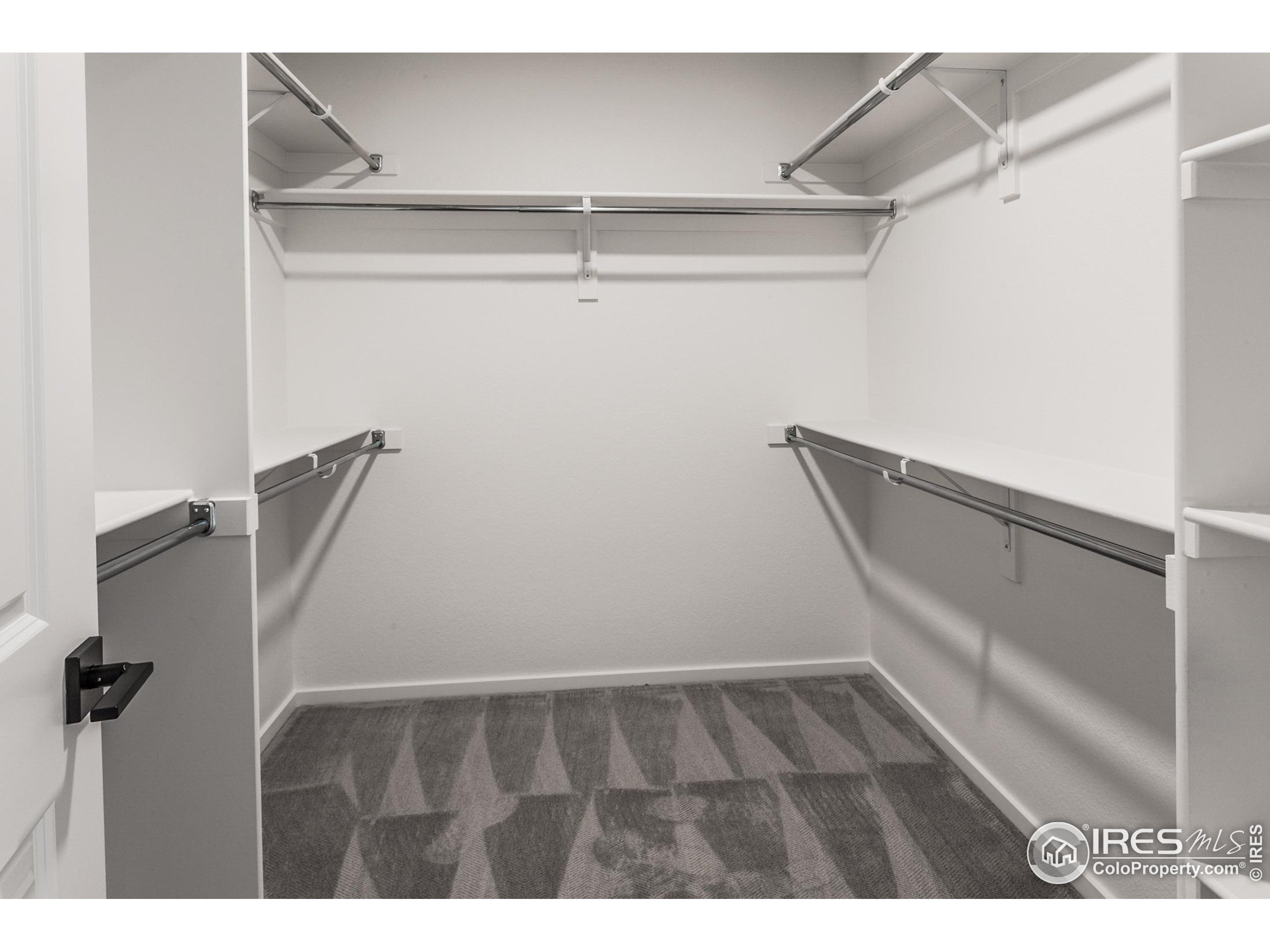 4909 Autumn Leaf Drive Timnath, CO 80547 - Photo 33 of 34 a view of walk in closet