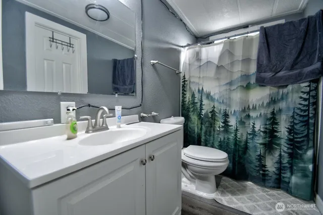a bathroom with a sink toilet and a shower