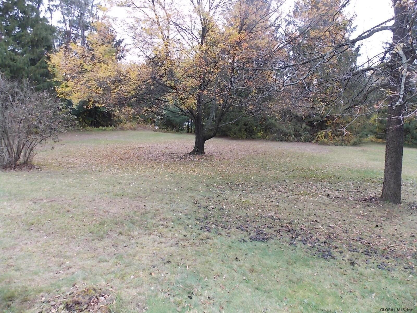 51 Werner Road Halfmoon, NY 12065 - Photo 19 of 23 Photo 19