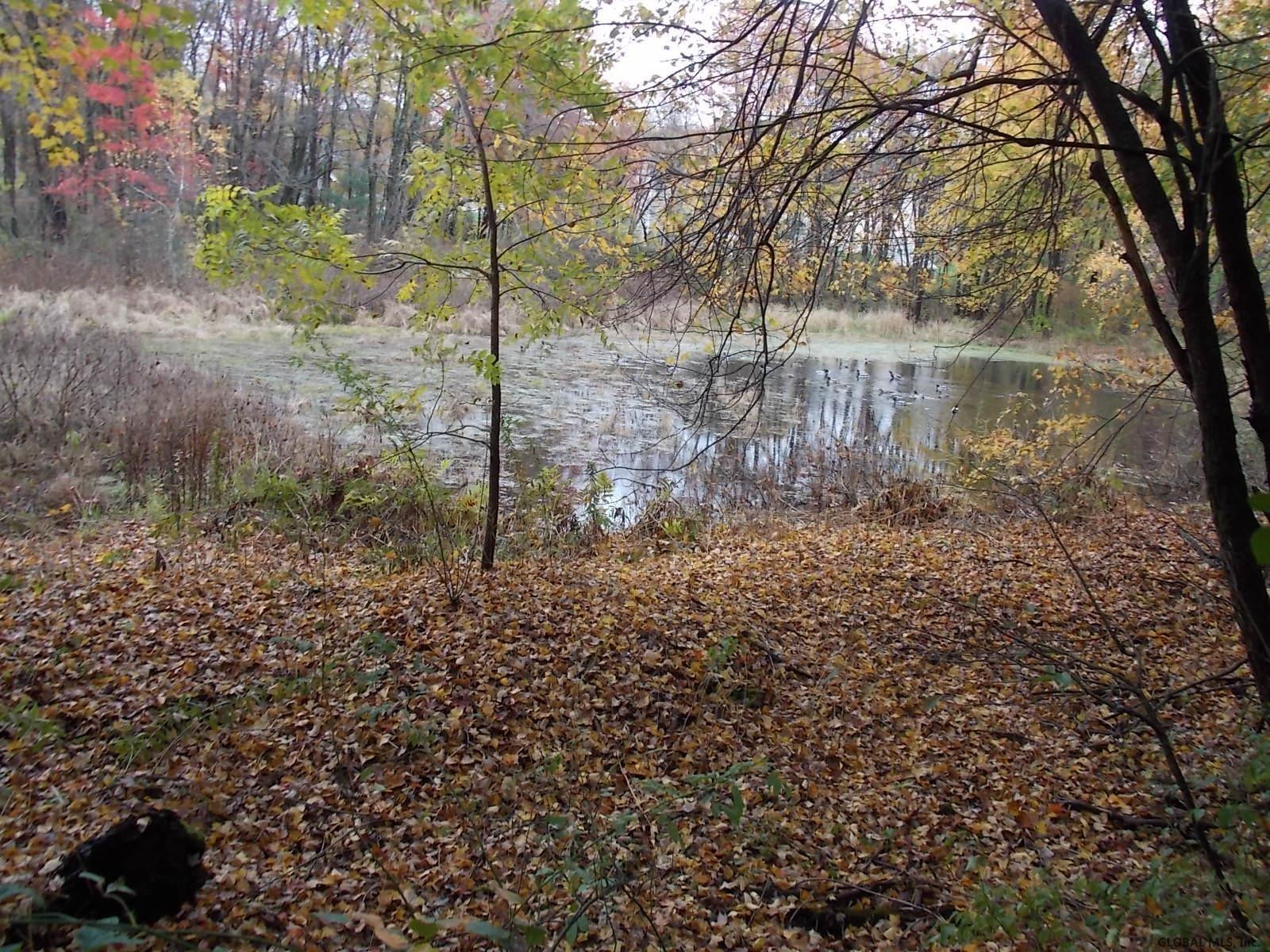 51 Werner Road Halfmoon, NY 12065 - Photo 21 of 23 Photo 21