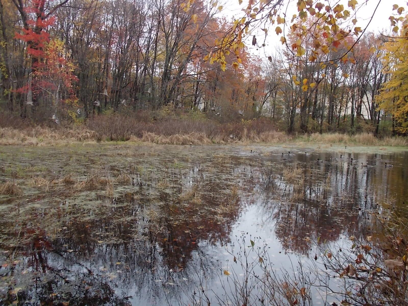 51 Werner Road Halfmoon, NY 12065 - Photo 22 of 23 Photo 22